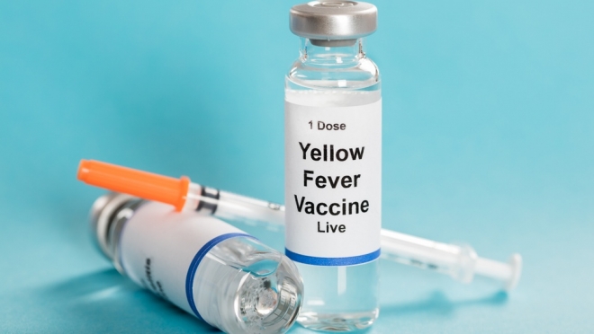Привиться от жёлтой лихорадки можно в Казани и Нижнем Новгороде