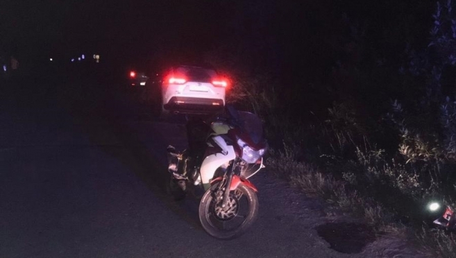 В селе Емешево подросток на мотоцикле сбил собаку