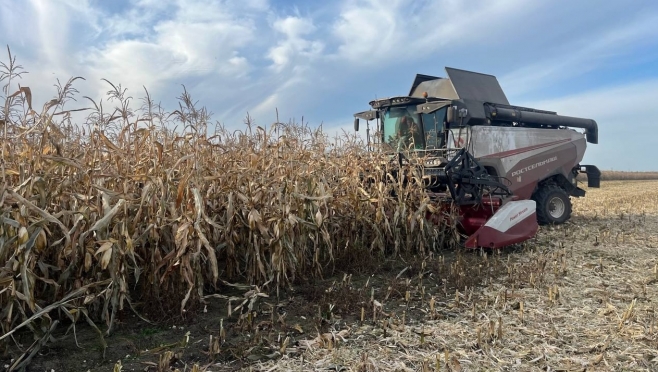 В Звениговском районе приступили к уборке кукурузы