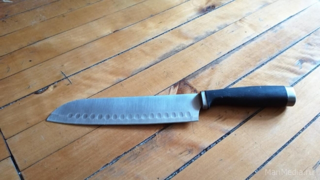 Йошкаролинцу предъявлено обвинение в совершении убийства