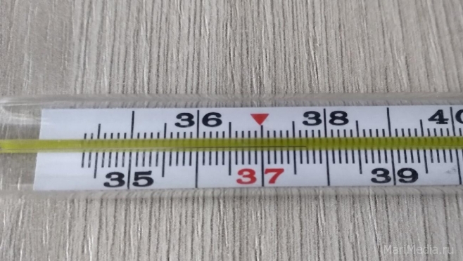 В Марий Эл заболеваемость ОРВИ ниже порогового уровня на 6%