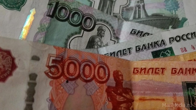 Марий Эл перечислила в консолидированный бюджет РФ 12 723,7 млн рублей