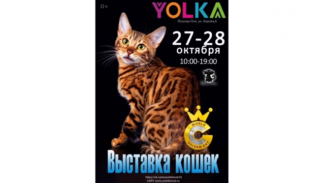 Приглашаем 27-28 октября на международную выставку кошек в ТРК «Yolka»!