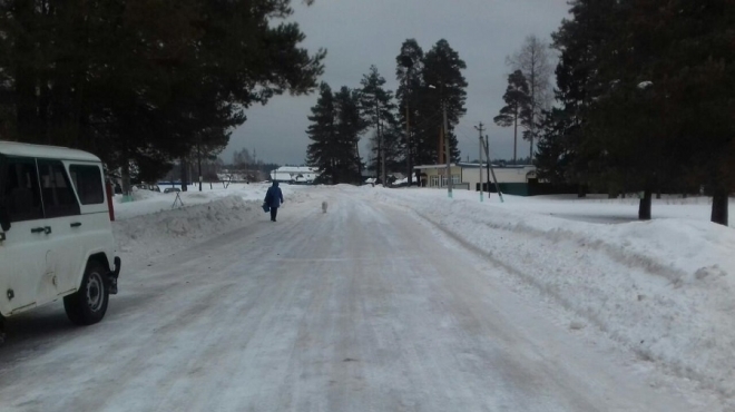 В Марий Эл в праздничные дни две женщины попали под колёса машин
