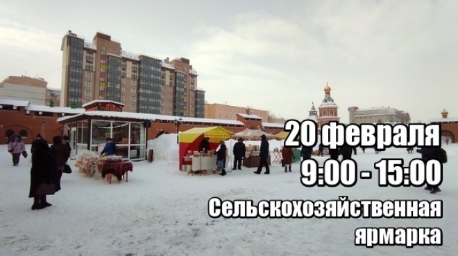 В Царевококшайском Кремле проходит сельскохозяйственная ярмарка