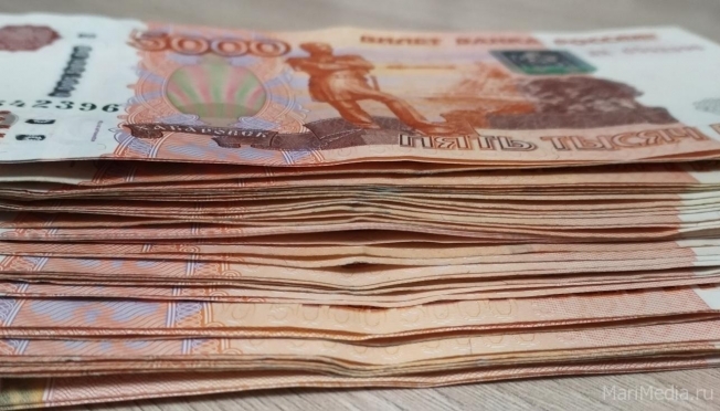 Йошкаролинец задолжал сыну почти 900 тысяч рублей алиментных платежей