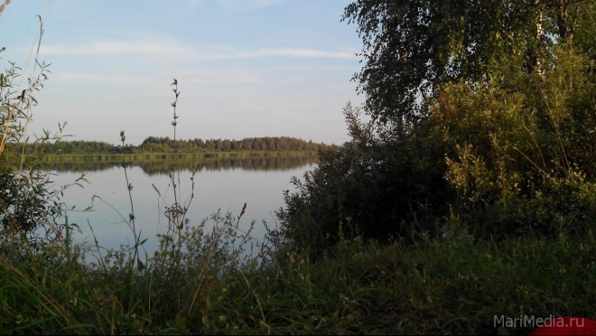 В Волжске в озере Конопляное утонул мужчина