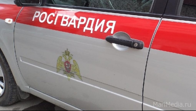 В Йошкар-Оле задержали жителя Башкортостана, находящегося в федеральном розыске