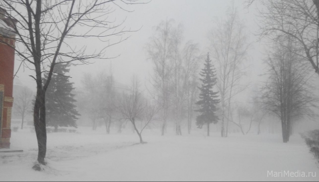 Жителей Марий Эл предупреждают о сильном ветре
