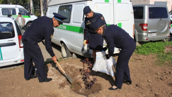 Памятная аллея судебных приставов появилась в Йошкар-Оле