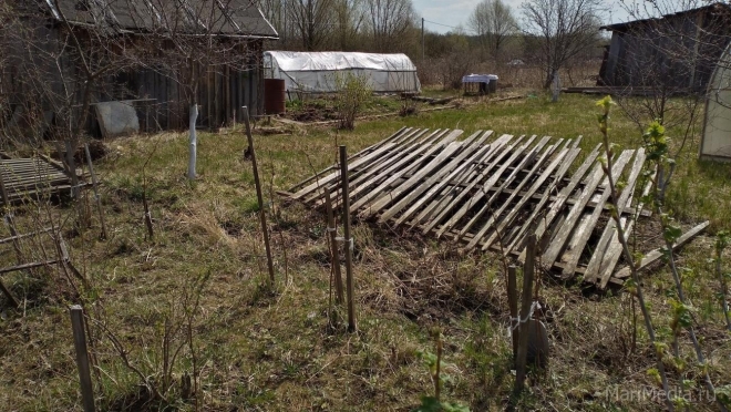 В Марий Эл в 2020 году выявлено 336 нарушений земельного законодательства