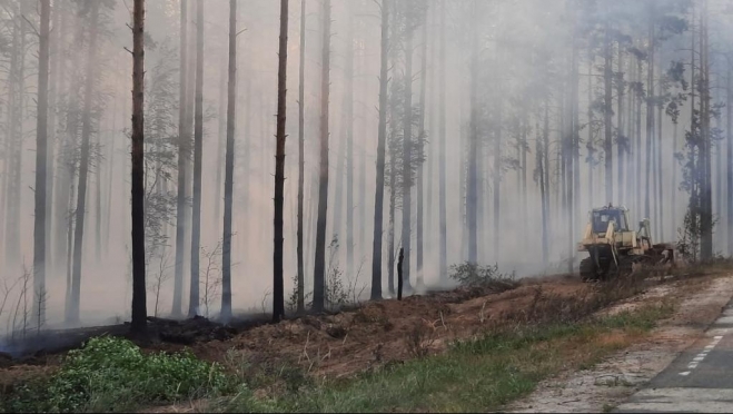 В Мари-Турекском районе сегодня утром горел лес