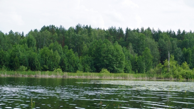 Жители Марий Эл после купания на Яльчике жалуются на зуд и покраснения кожи