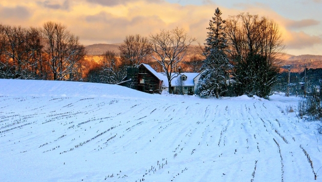 Три случая самовольного занятия земельных участков зарегистрированы в Марий Эл