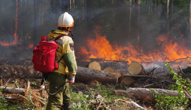 Синоптики Марий Эл предупреждают о чрезвычайной пожароопасности лесов