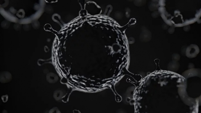 В феврале новый китайский вирус может появиться в России