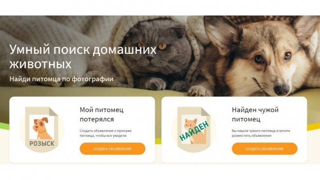 Пропавших домашних питомцев поможет найти искусственный интеллект
