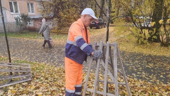 Саженцы деревьев в Йошкар-Оле «прячут» за защитными экранами