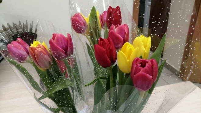 Выбрать хорошие цветы к празднику помогут советы специалистов