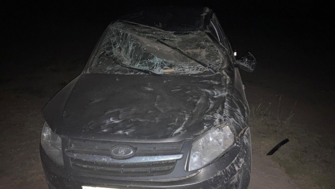 В Звениговском районе машина перевернулась в кювет — водитель погиб