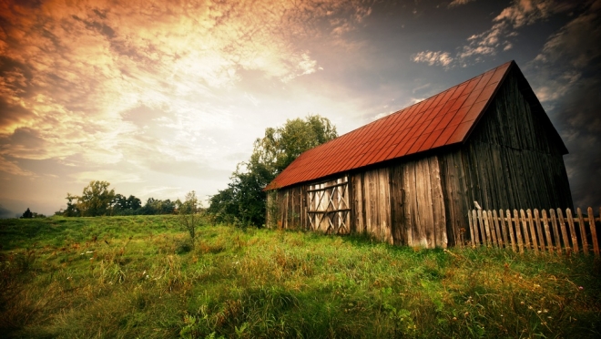В Медведевском районе сняты ограничительные мероприятия по бешенству