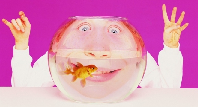 Новогодняя смехотерапия