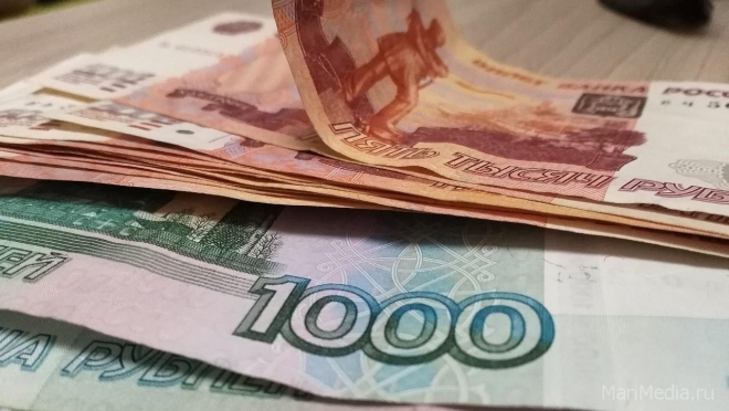 Перечислены выплаты по линии господдержки гражданам, проживающим в Марий Эл