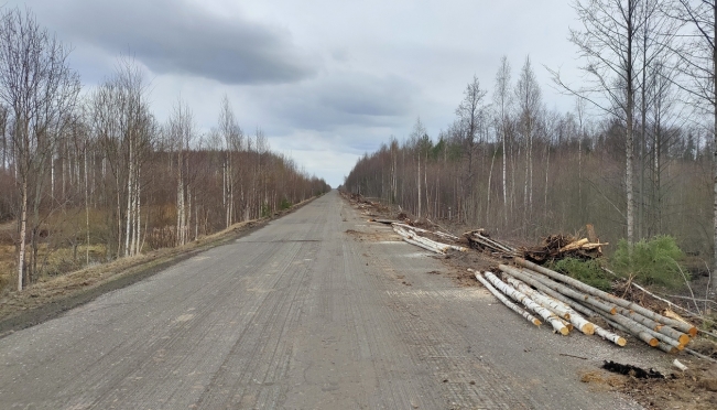 Дорогу от Килемар до границы с Кировской областью отремонтируют в этом году
