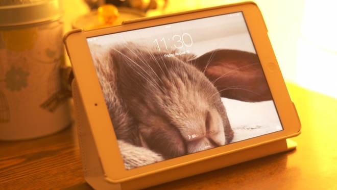 В одном из волжских профилакториев ищут вора