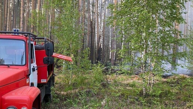 В Марий Эл ожидается высокая пожароопасность лесов