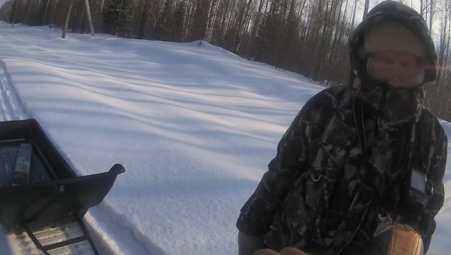 В Горномарийском районе браконьеры убили лося