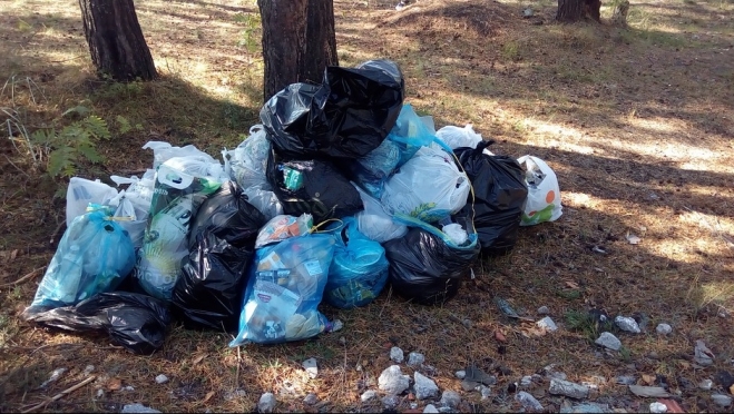 В субботу всех эко-активистов приглашают очистить Тархановский парк