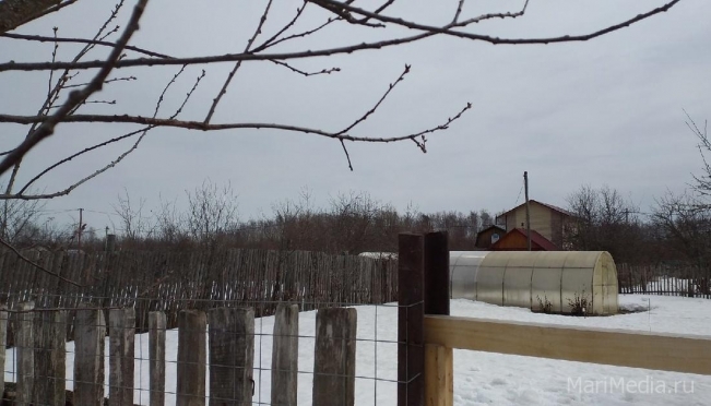 В Марий Эл зарегистрировано 25 фактов незаконного «захвата» земель