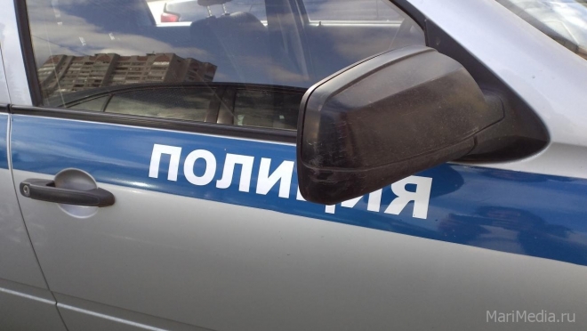 Полицейские Марий Эл задержали мошенника из ближнего зарубежья