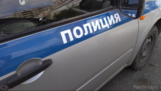 Житель Медведевского района в подвале дома выращивал коноплю