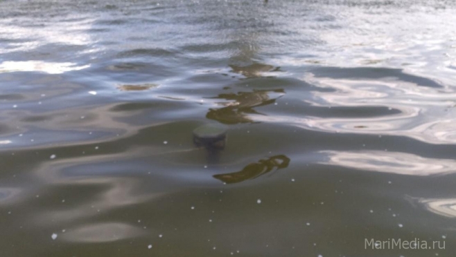 В Марий Эл задержали 34-летнего жителя Советского района, задушившего школьницу