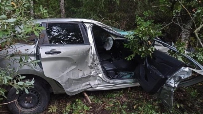 На Казанском тракте в Марий Эл лось врезался в легковую машину