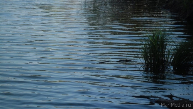 На Каме в Татарстане затонула моторная лодка с людьми