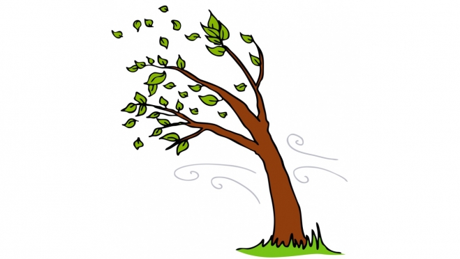 Жителей Марий Эл предупредили об усилении ветра