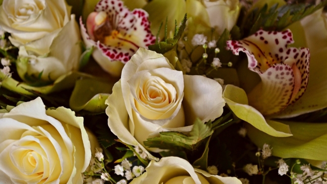 Марий Эл в числе лидеров по количеству цветочных магазинов на душу населения