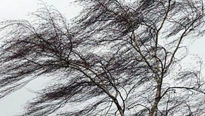 В Марий Эл усилится ветер