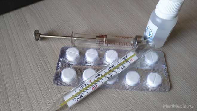 ОРВИ продолжают косить жителей Марий Эл