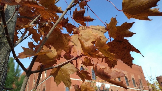 В Марий Эл в выходные температура воздуха будет на 2-4 градуса выше климатической нормы