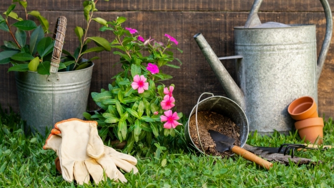 Сезон 2021: 5 идей для полного дачного счастья