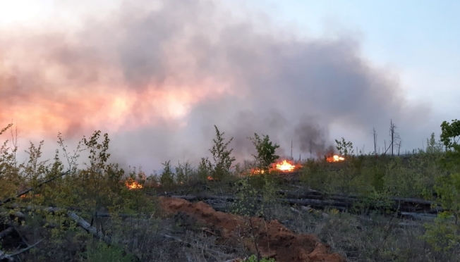 В лесах Марий Эл – высокая пожаропасность