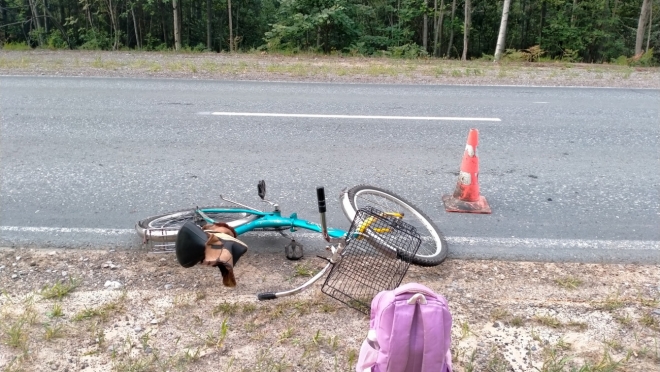 В Марий Эл на загородной дороге сбили велосипедиста, водитель — скрылся