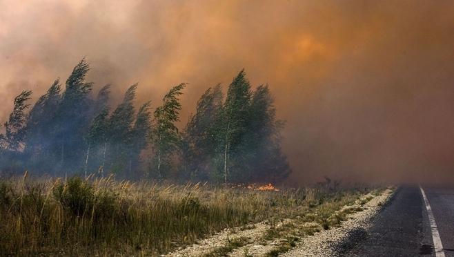 В Марий Эл на охрану лесов от пожаров в этом году выделено 50,8 млн рублей