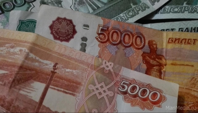 За сутки жители Марий Эл перевели лжебанкирам больше 200 тысяч рублей