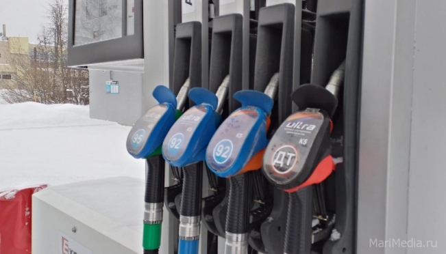 В Марий Эл цены на автомобильный бензин за месяц снизились на 0,7%