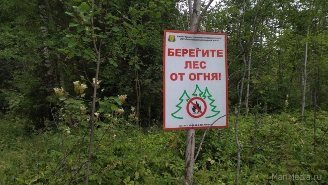 Синоптики Республики Марий Эл передали экстренное предупреждение